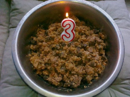 Fodan`s 3. Geburtstag